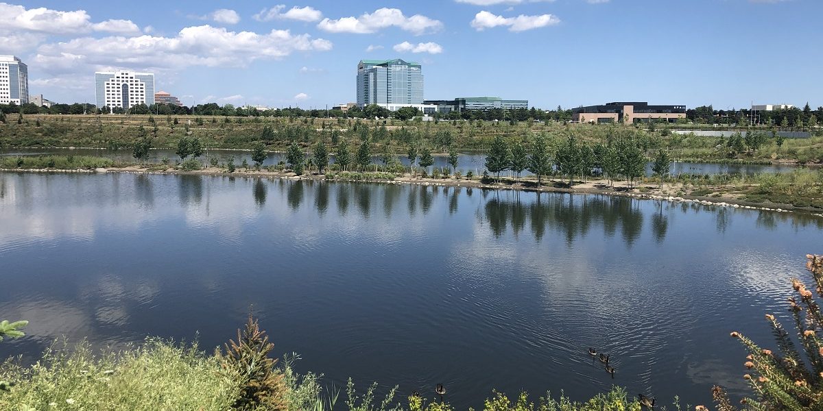 storm water basin pond management