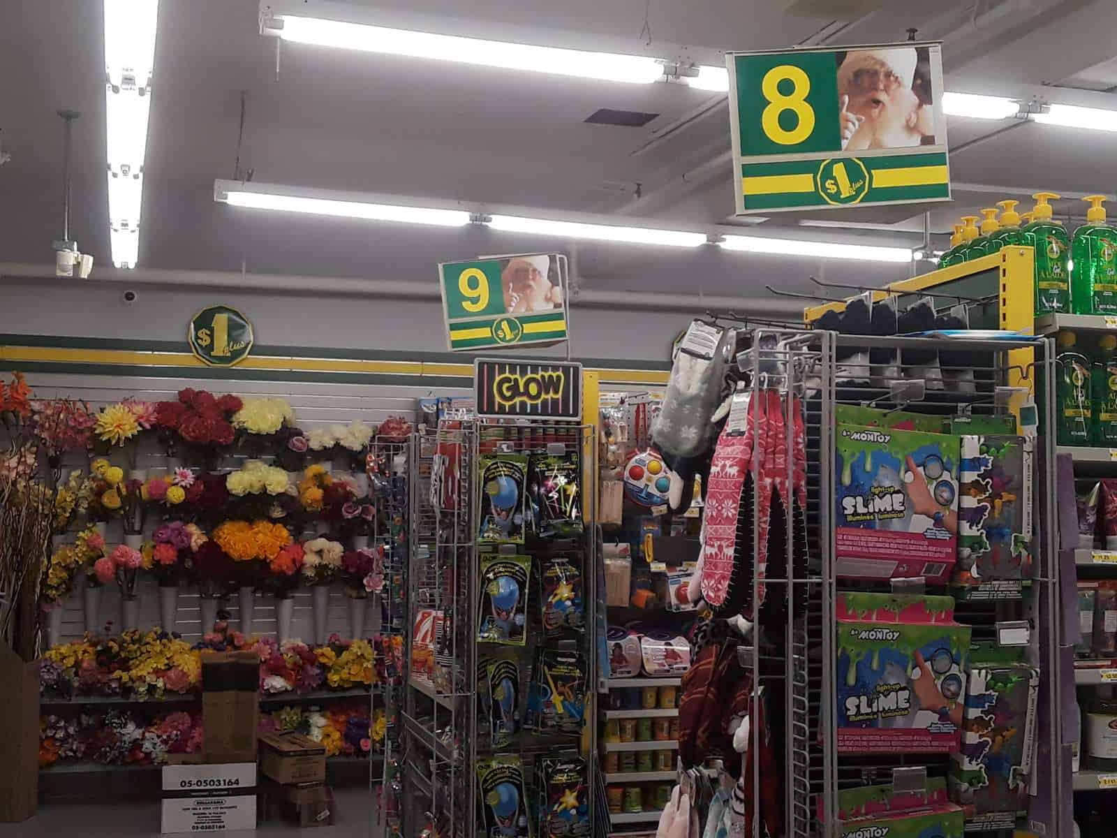 Ontario, Oakville, Dollarama, store, consumer products, value, merchandise