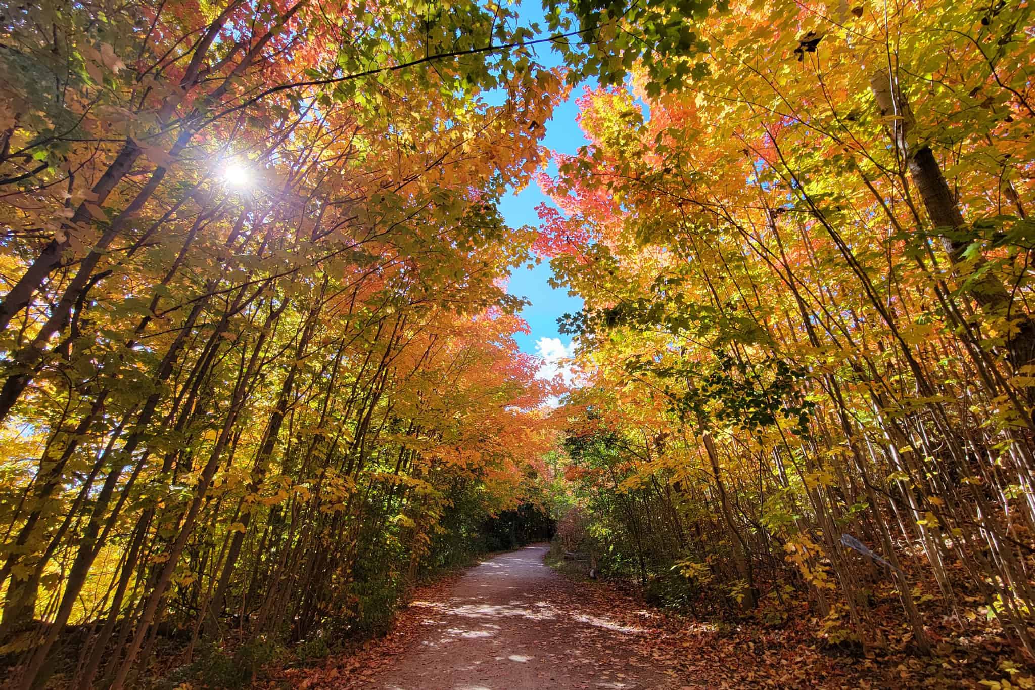 fall hikes mississauga