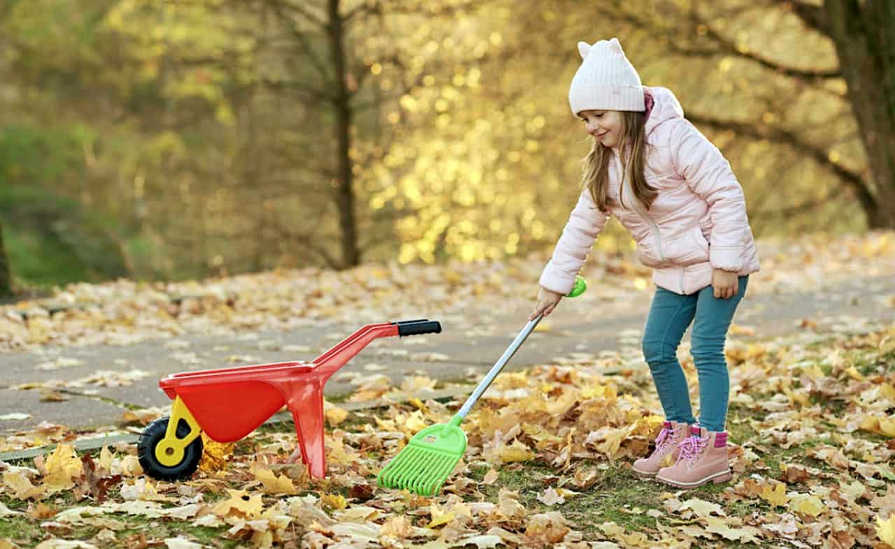 Burlington rake leaves leaf vacuum collection curb