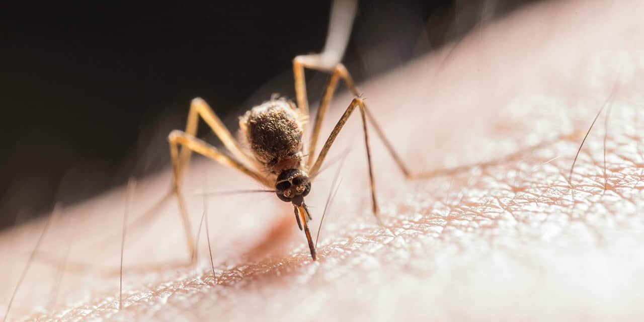 west nile virus halton first human case