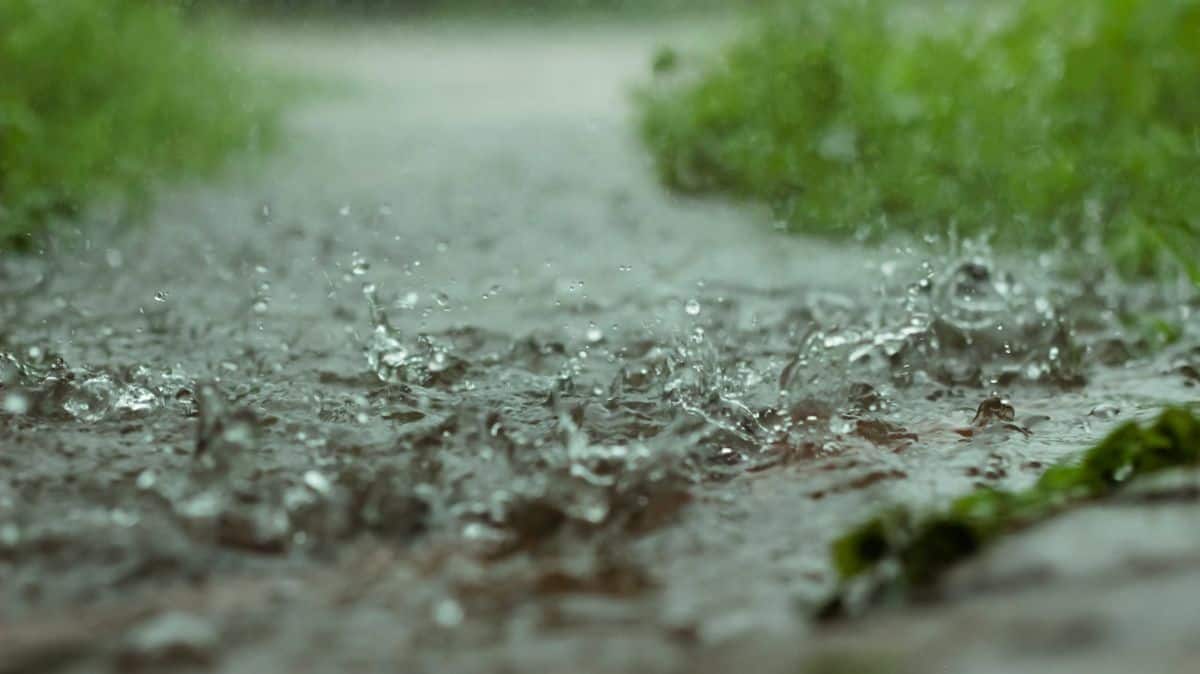 rain Burlington fields closed sport