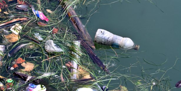 milton students research plastic pollution ontario lake