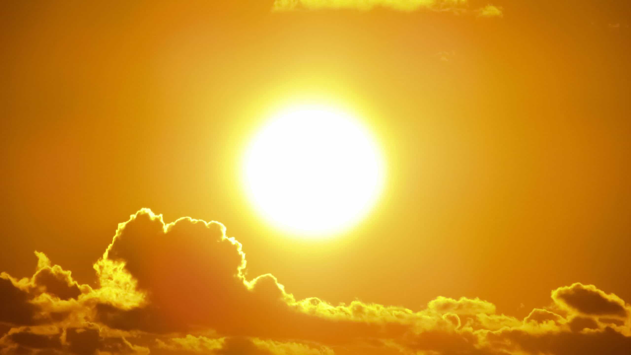 June 4 weather: High that feels like 31 C in southern Ontario