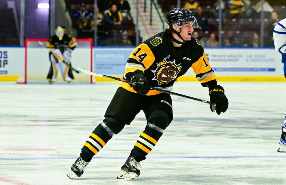 Ontario, Hamilton, Brantford, OHL, Bulldogs, hockey, Player of the Week,