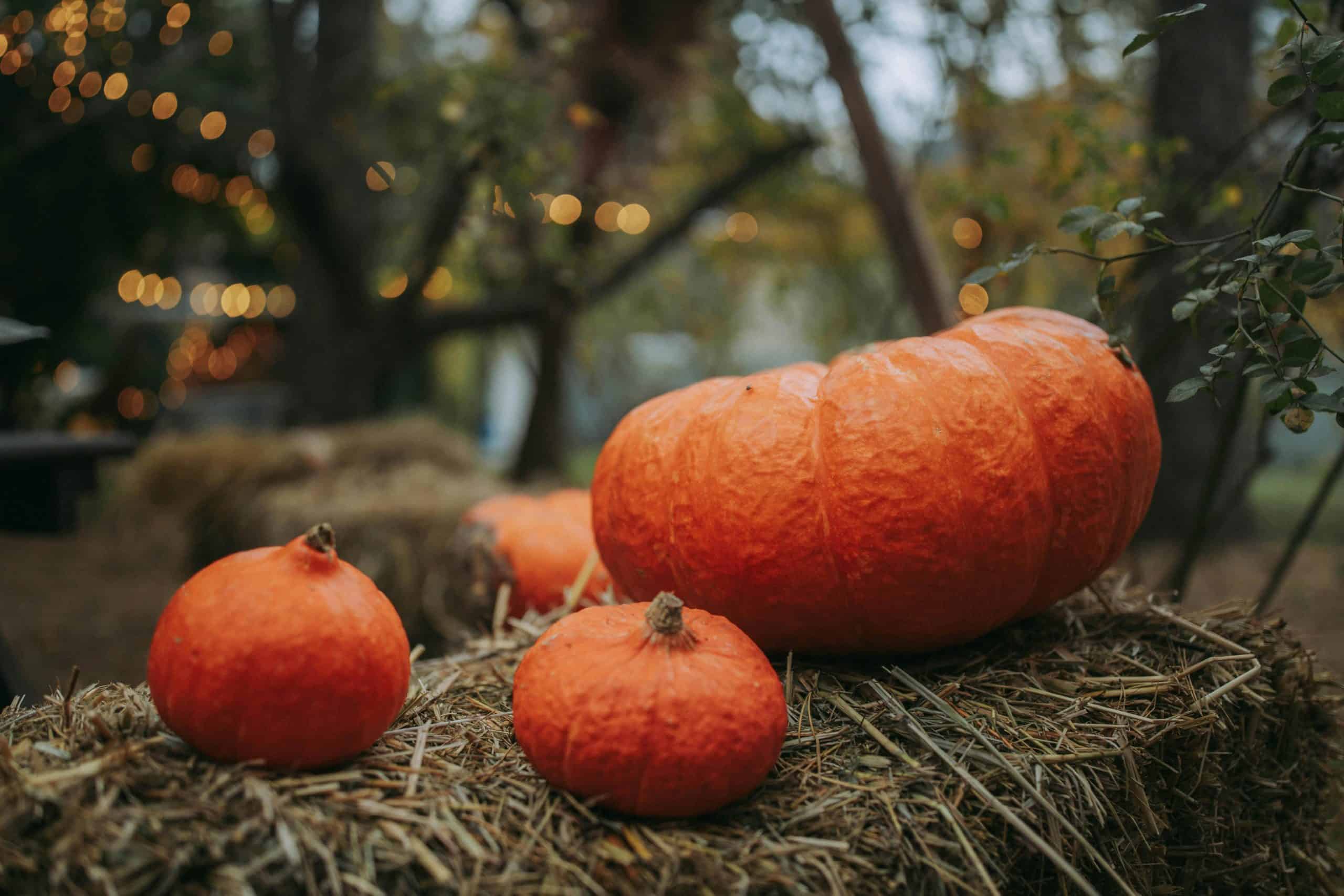 Road closure in effect next weekend in Acton due to ghost walk and pumpkin giveaway event