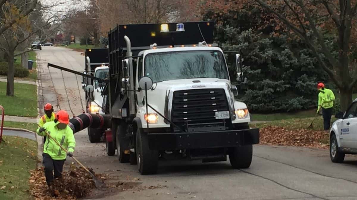 leaf pickup mississauga 2024