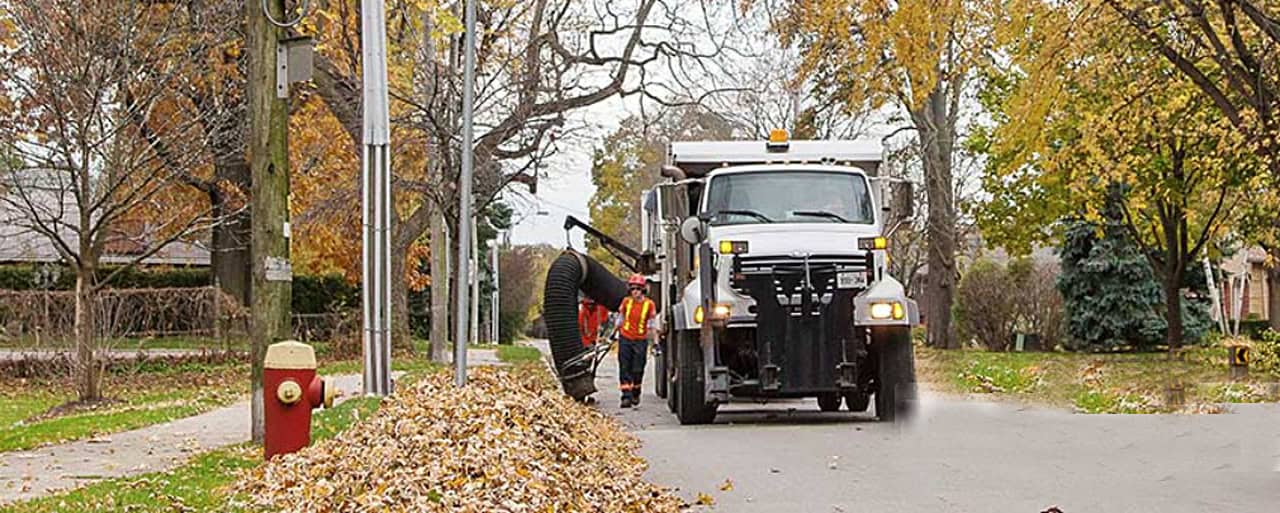 leaf leaves collection curbside Burlington