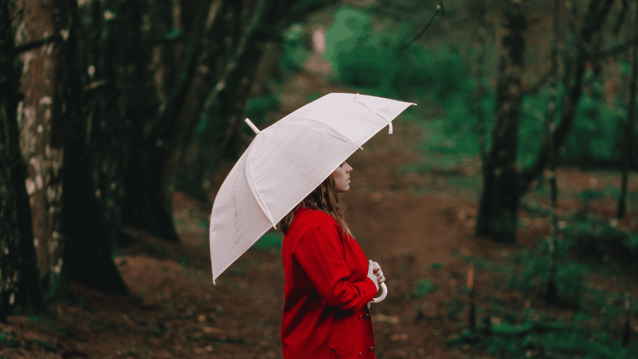 rain, windy, cool, chilly, fall, autumn, weather, southern, Ontario.