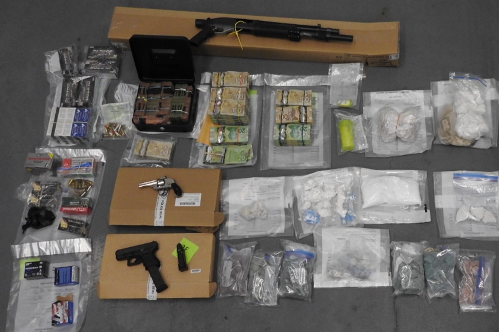 Gang unit raids lead to guns, over 3 kilos of drugs and charges for pair from Brampton