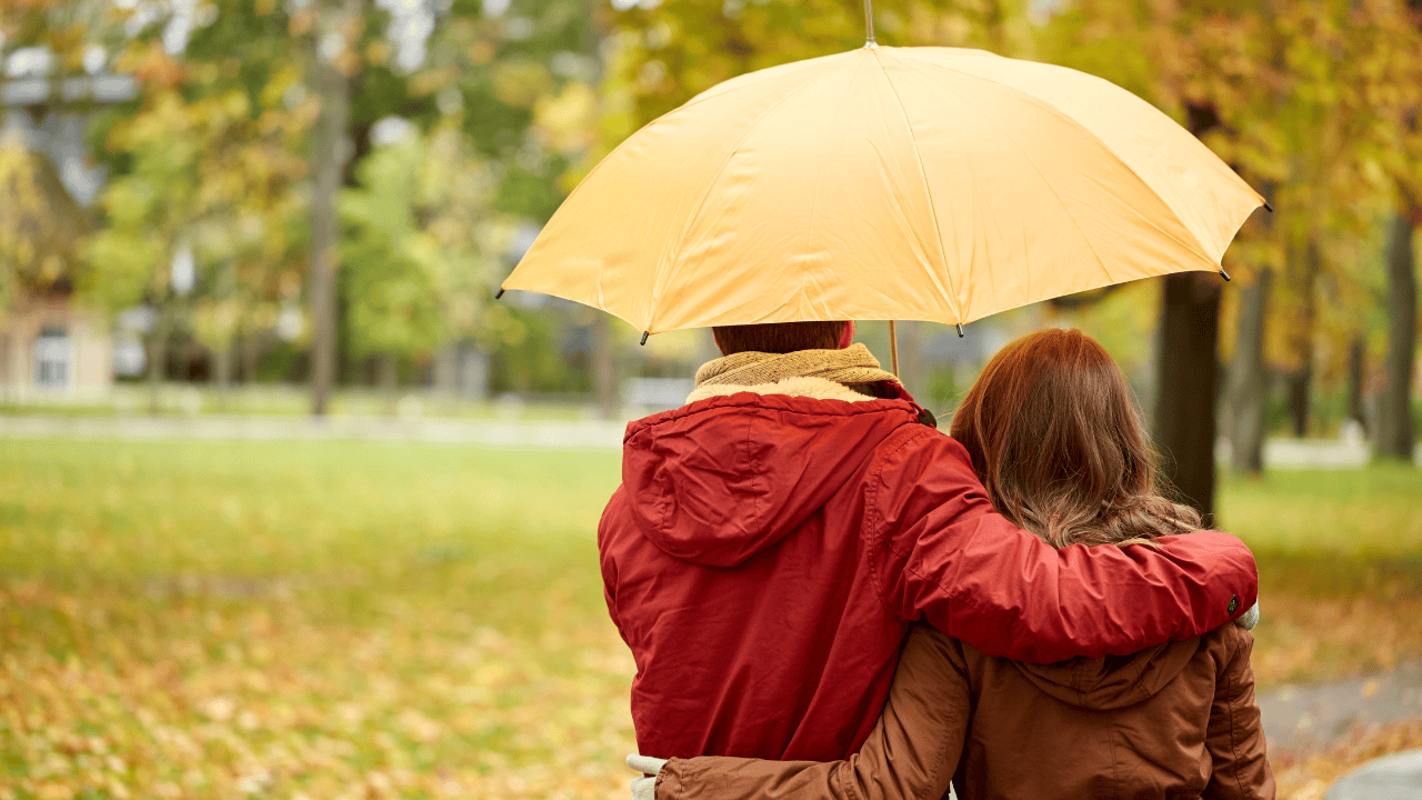 rain, mild, warm, temperatures, fall, winter, cool, windy, foggy rainy, southern Ontario.