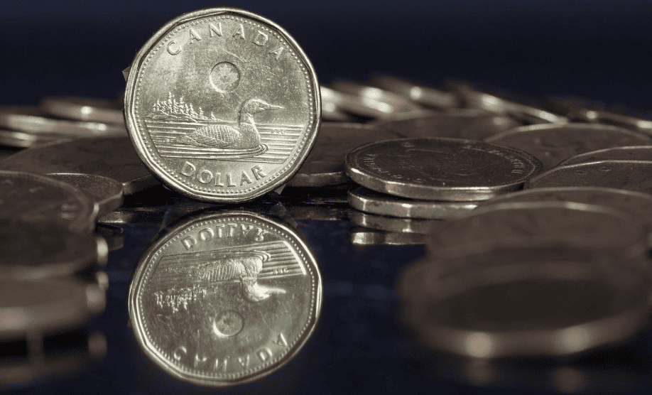 canadian dollar, loonie