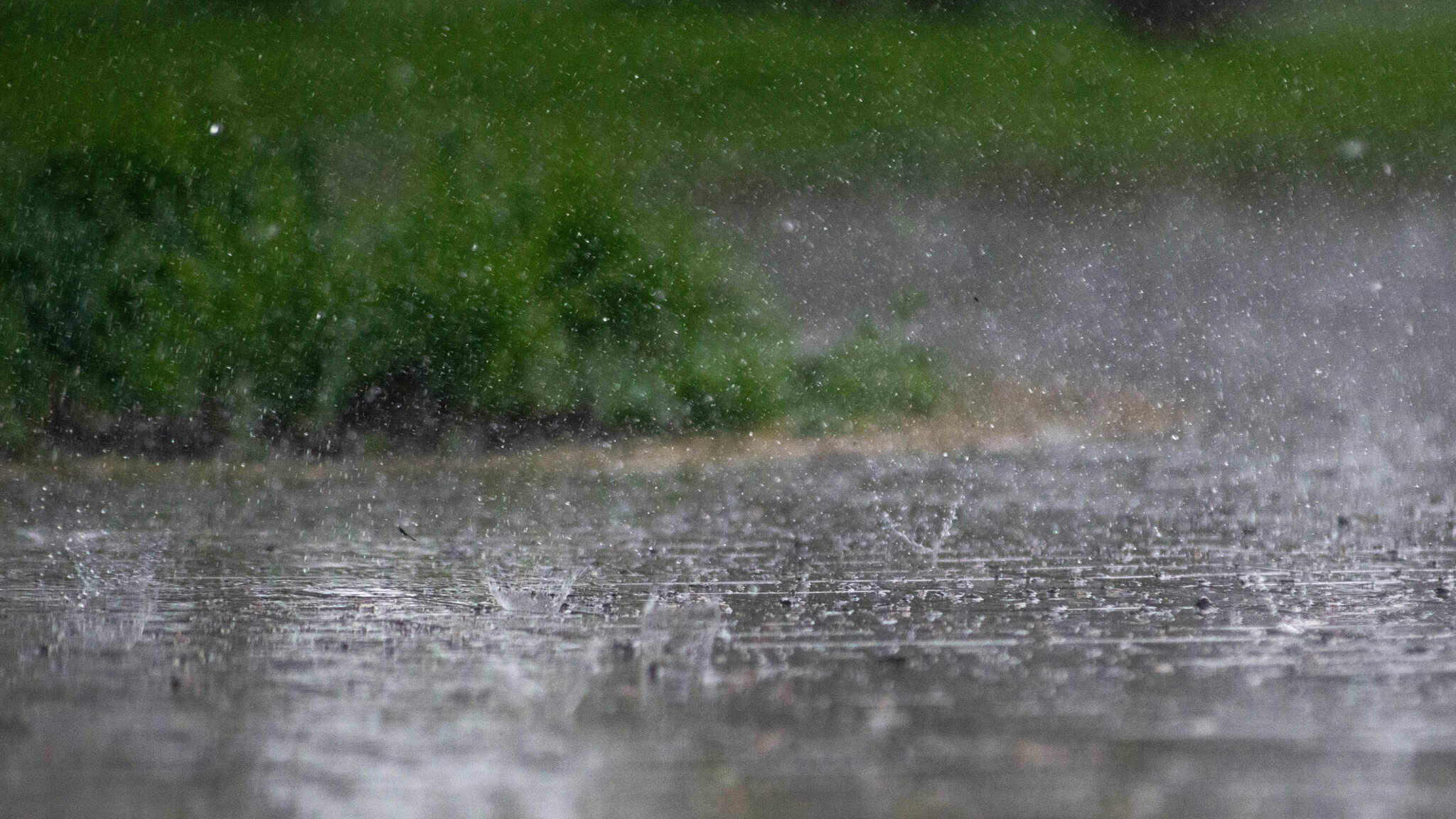 rain alert ontario