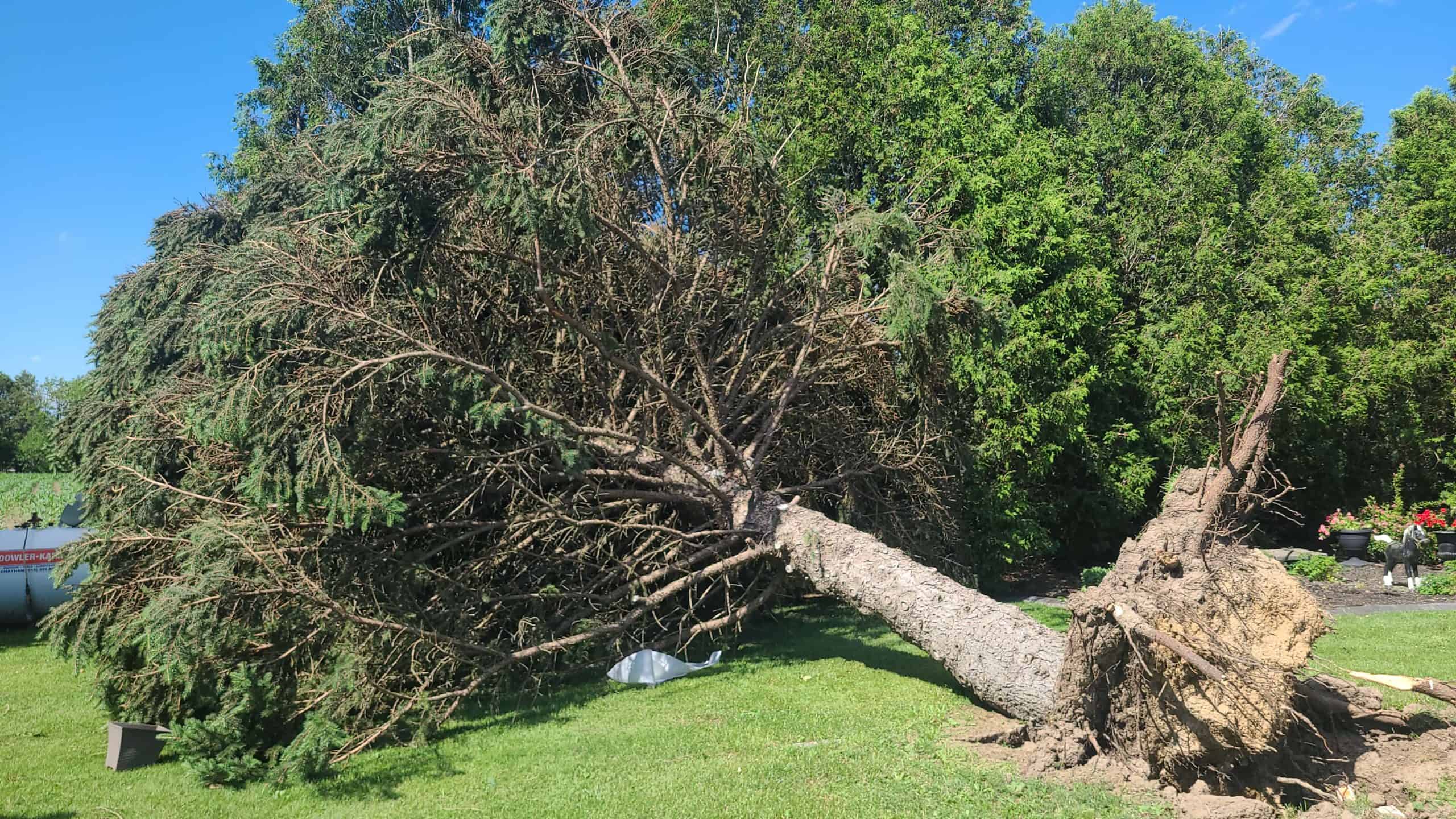 Tornado and downbursts confirmed as damage reported in southern Ontario