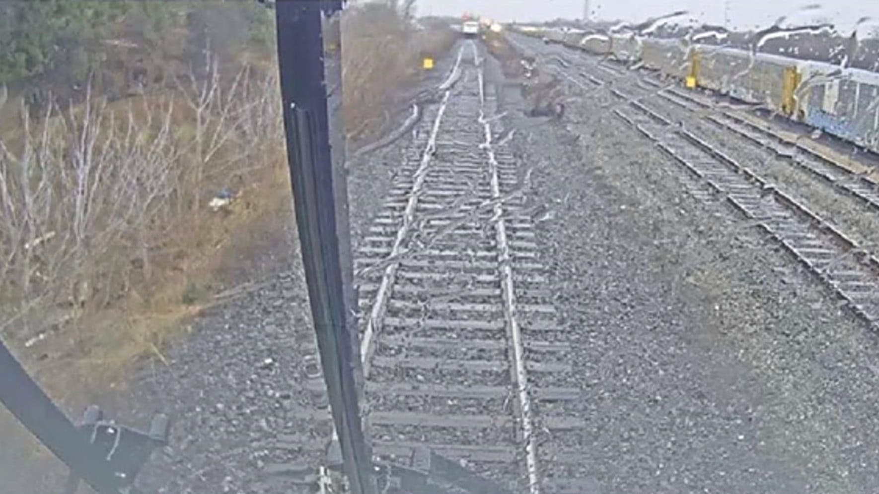 go train near collision burlington