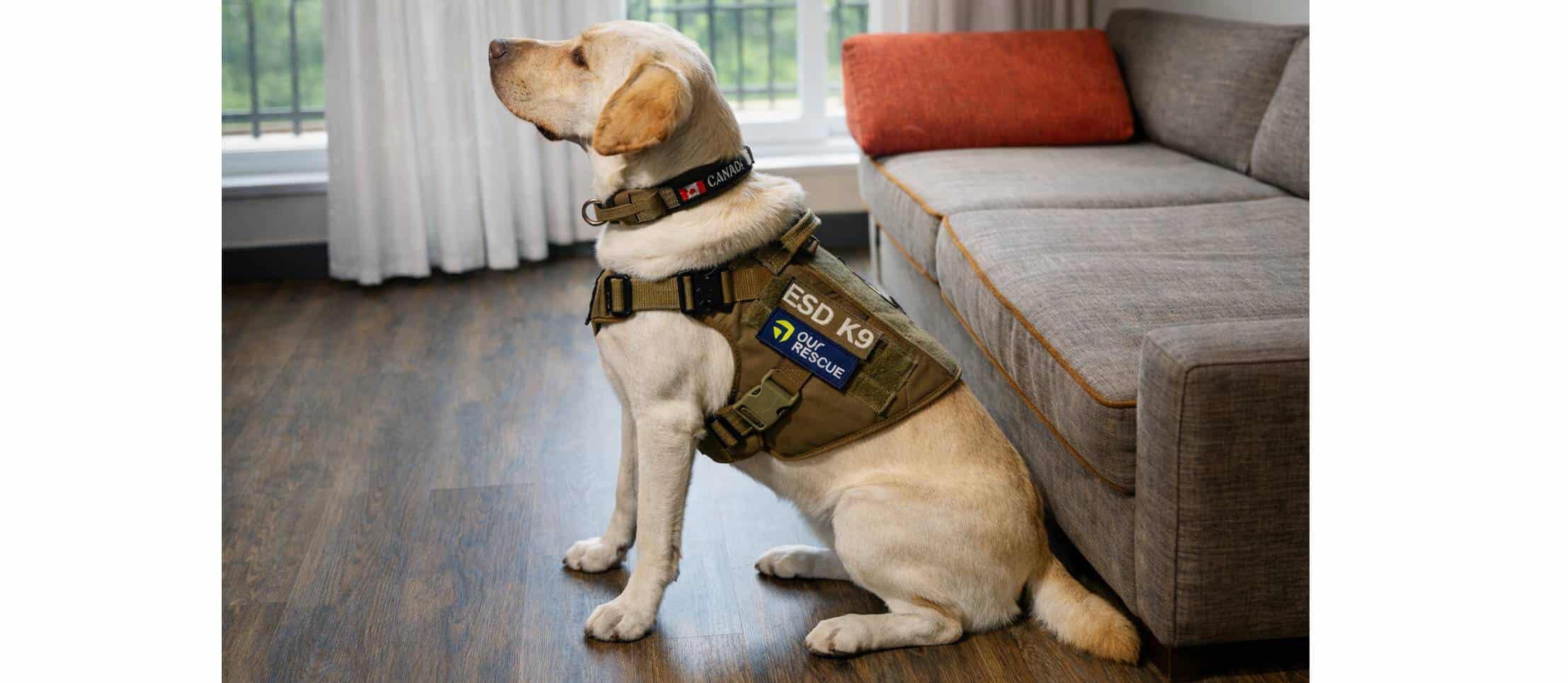 cache halton police dog crime